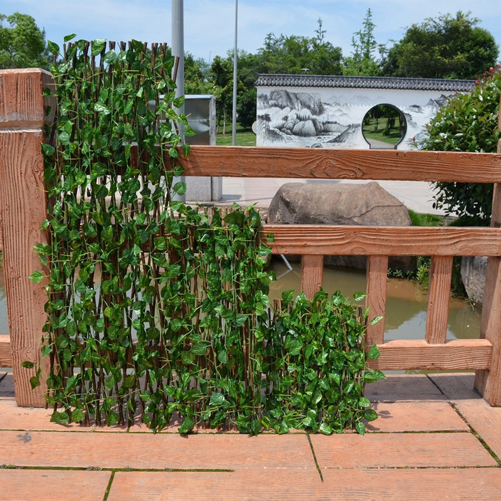 Plant Climb Trellis Wooden Fence