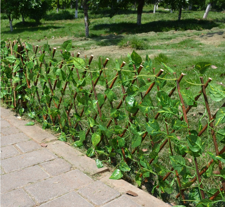 Plant Climb Trellis Wooden Fence