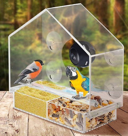 Window Bird Feeder with Mini Camera