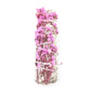 White Sage Red Rose Petal Aromatherapy