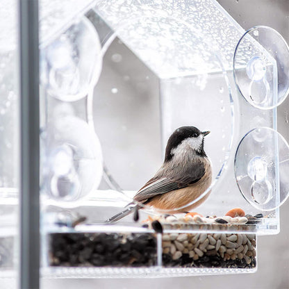 Window Bird Feeder with Mini Camera