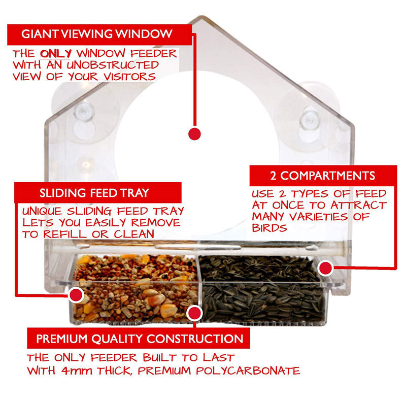 Window Bird Feeder with Mini Camera