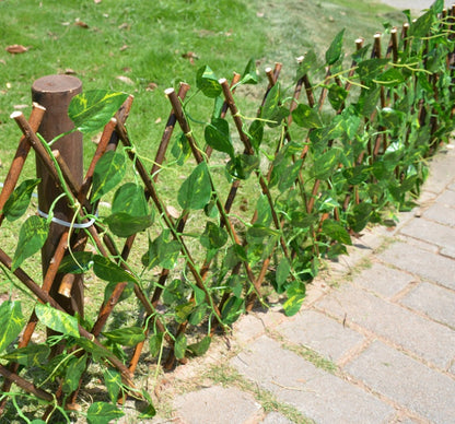 Plant Climb Trellis Wooden Fence