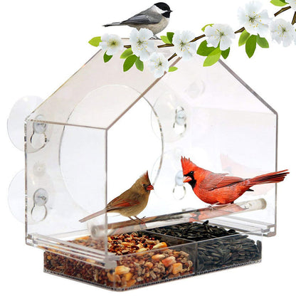 Window Bird Feeder with Mini Camera