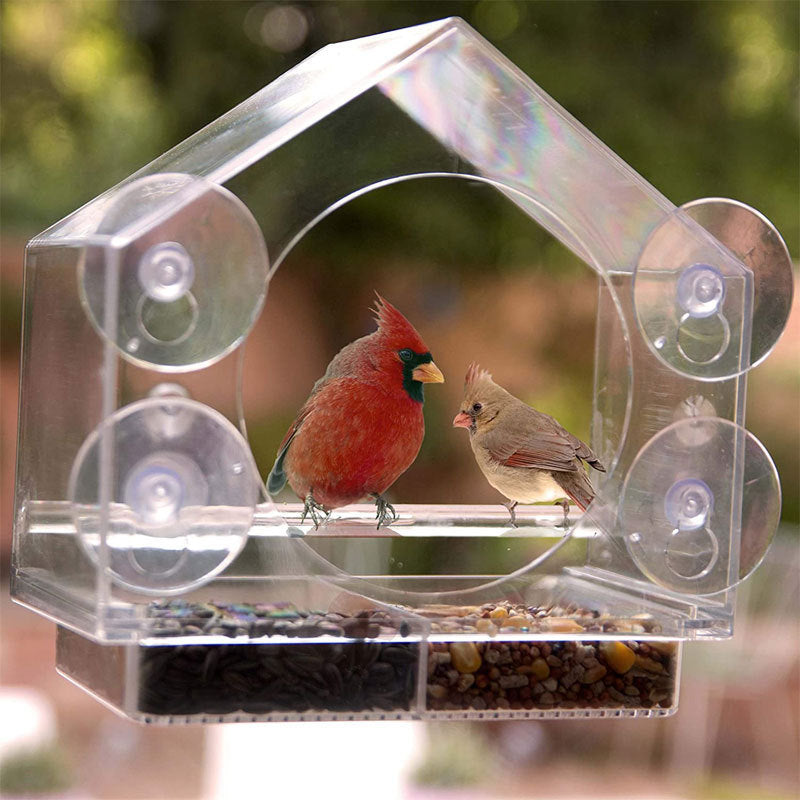 Window Bird Feeder with Mini Camera